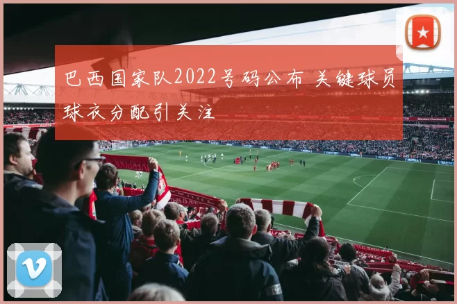 巴西国家队2022号码公布 关键球员球衣分配引关注