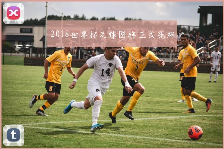 2018世界杯足球图样正式亮相