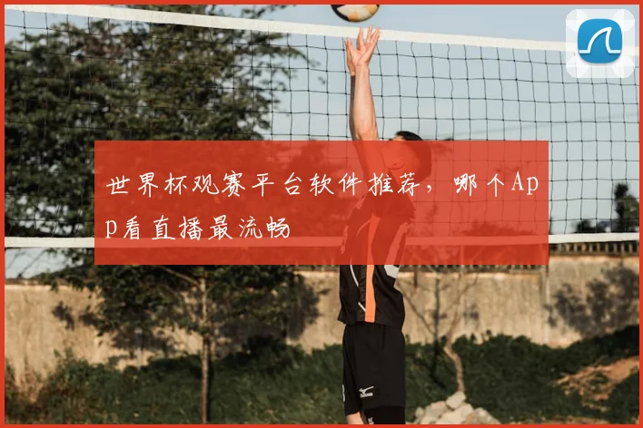 世界杯观赛平台软件推荐,哪个App看直播最流畅