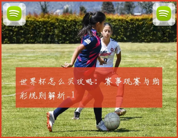 世界杯怎么买攻略：赛事观赛与购彩规则解析_1