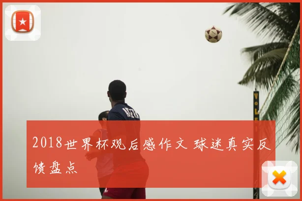 2018世界杯观后感作文 球迷真实反馈盘点